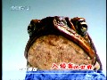贵州药材APP