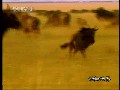 kaiyun体育app官网入口网页版安卓版二维码