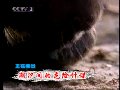 小熊洗车APP