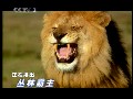 豆包app