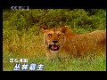 eman安卓版