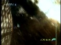显卡诊断识别工具(GPU Caps Viewer)