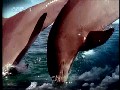 b体育官网下载V3.4专业版