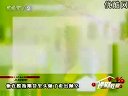 蓝月战神古天乐版