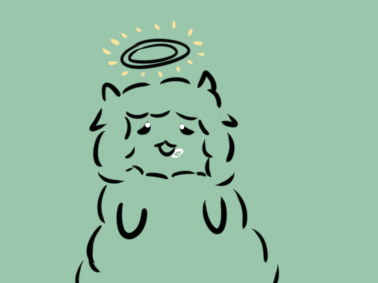 贵州药材APP