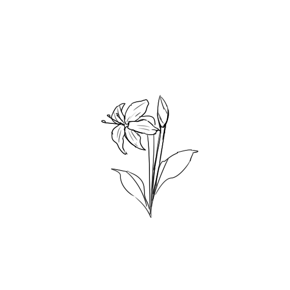 想不想修真