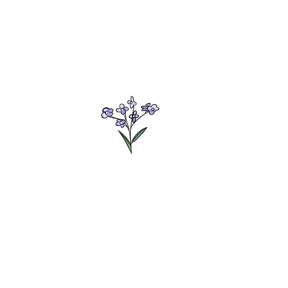 贵州药材APP
