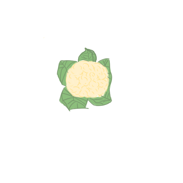 贵州药材APP