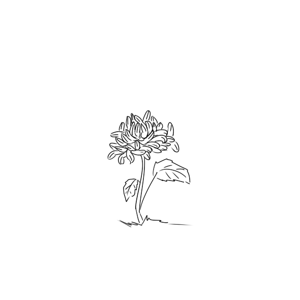河南汽车维修平台APP