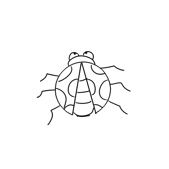 小熊洗车APP