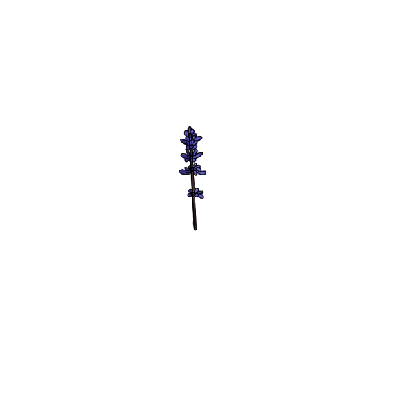 万博appV1.4专业版