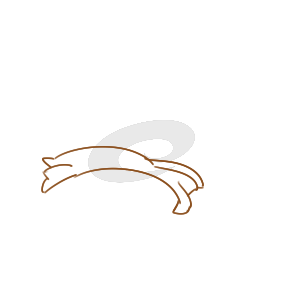 新胜利appV5.3专业版