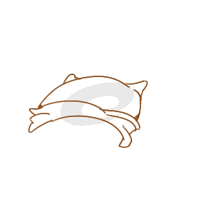 555娱乐彩票appV7.9专业版