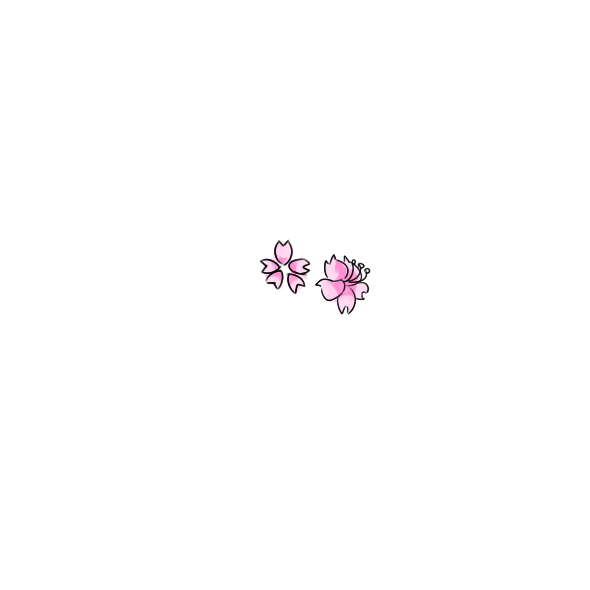 小熊洗车APP