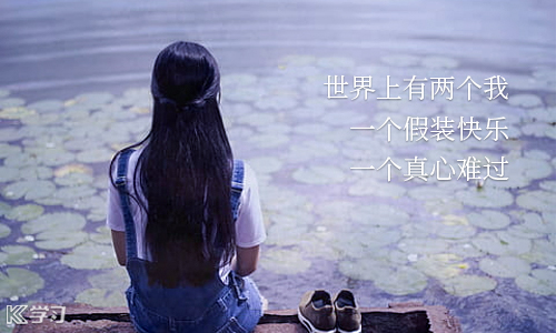 管家婆个人版pc端