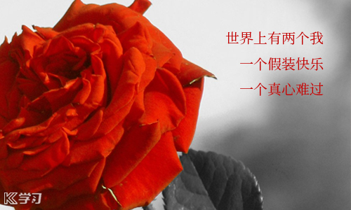 无线网络用户查看器(wireless network watcher)