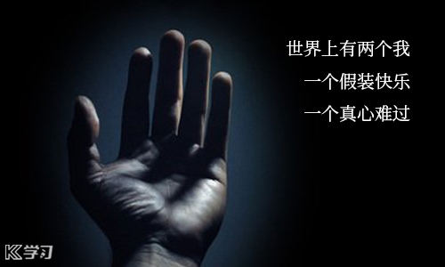 贵州药材APP
