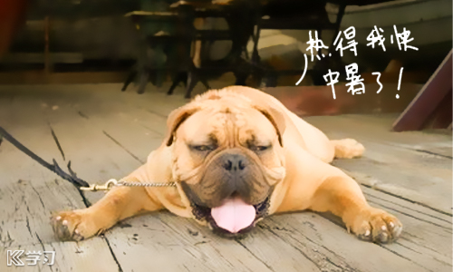 kaiyun官网手机登录入口2025新版本幻月洞府副本