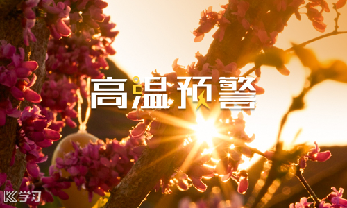 鼎点娱乐appV1.3专业版