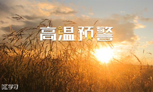 开云kaiyun网站V9.9专业版